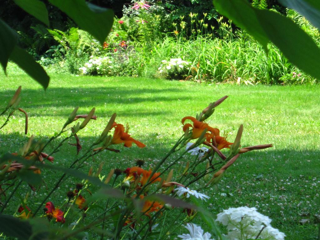 Baldwinsville Bed And Breakfast Екстериор снимка
